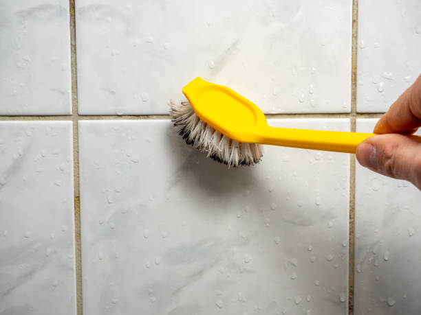 Mold Testing and Removal in Jellico, TN