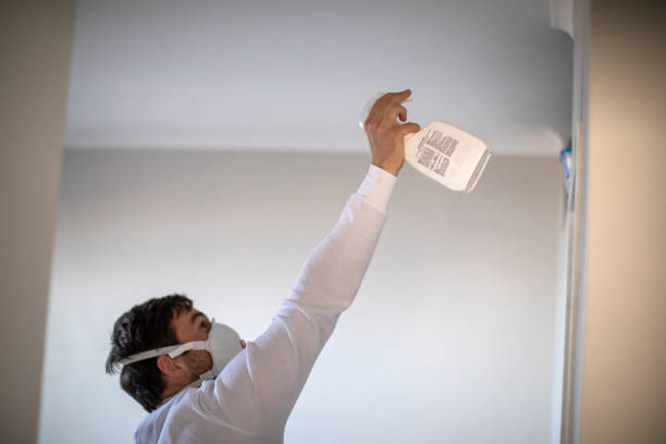 Best Certified Mold Removal  in Jellico, TN